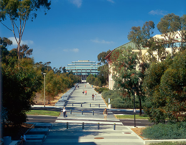 undergraduate research ucsd