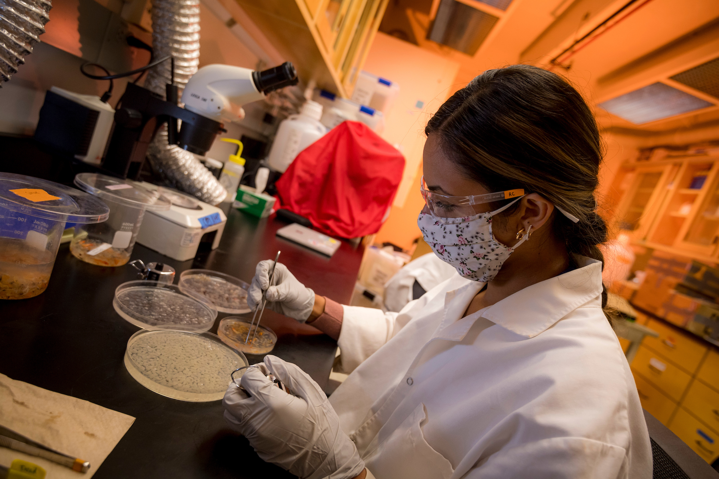 student doing research in a lab